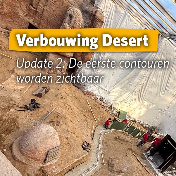 Verbouwing Desert Burgers’ Zoo: nieuwe reptielenverblijven in Arnhem